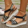Classic Zebra